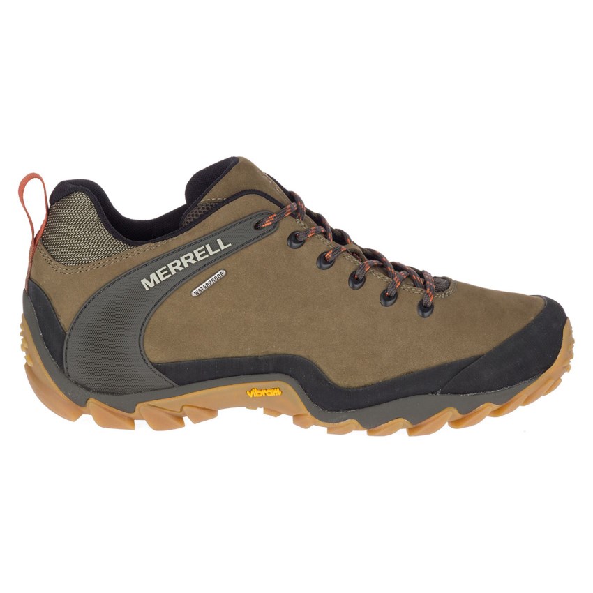 Chaussures Randonnée Merrell Chameleon 8 Stretch Waterproof Vert Foncé Olive Homme | B.C.SWVC